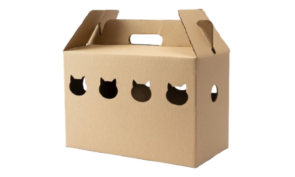 caja gatos1 cajas de cartón